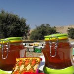 عسل کنار (سدر) کاملا ارگانیک و اعلا