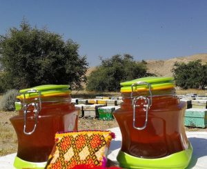 عسل کنار (سدر) کاملا ارگانیک و اعلا